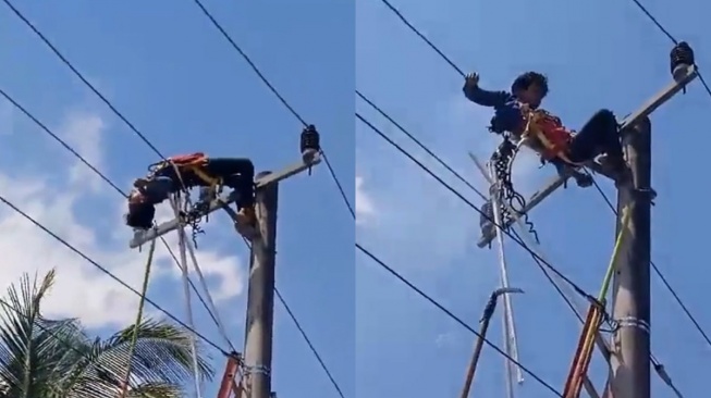 Viral Petugas PLN di Kendari Tersengat Aliran Listrik, Selamat Usai Disogok Pakai Bambu