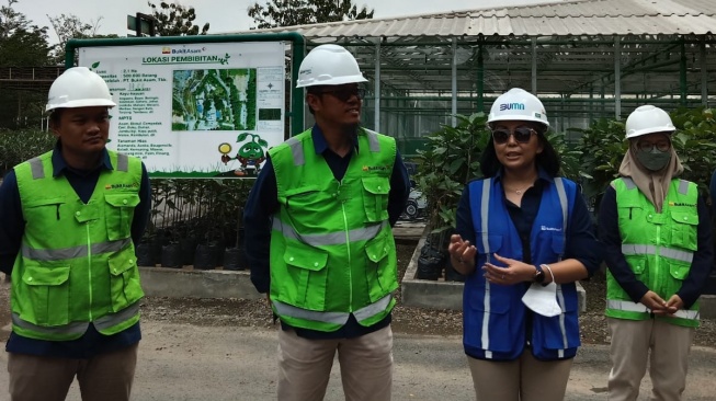 Asisten Vice President Pengelolaan Hutan dan Rehabilitaai DAS PTBA, Ketut Junaidi (tengah) dan tim Nursery Park. (Suara.com/Nessy F)