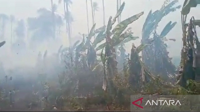 Lahan di Desa Gunung Terang Kebakaran, Personel Gabungan Kesulitan Memadamkan Api