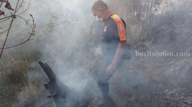 Walah, Titik Api Terpantau Lagi di Hutan Gunung Lawu