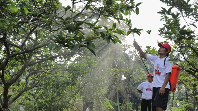 OMG Riau Serahkan Obat Untuk Berantas Hama Bagi Petani Jambu