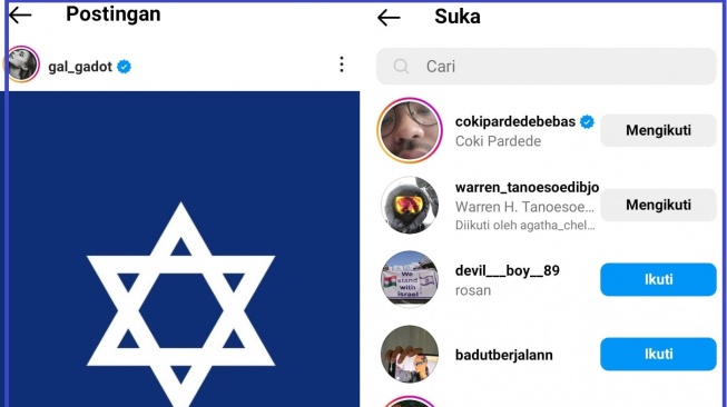 Akun Instagram Warren Tanoesoedibjo memberikan tanda suka ke postingan pro Israel milik Gal Gadot. (Instagram)