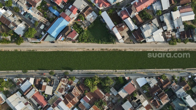 Foto udara kondisi kanal yang dipenuhi tanaman eceng gondok (Eichhornia Crassipes) di Makassar, Sulawesi Selatan, Rabu (1/11/2023). [ANTARA FOTO/Arnas Padda/rwa]