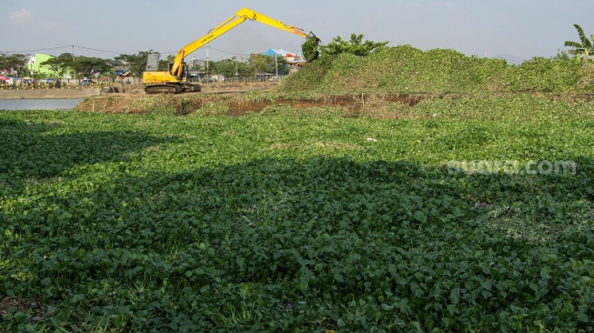 Pekerja mengoperasikan ekskavator saat membersihkan kanal yang dipenuhi tanaman eceng gondok (Eichhornia Crassipes) di Makassar, Sulawesi Selatan, Rabu (1/11/2023). [ANTARA FOTO/Arnas Padda/rwa]