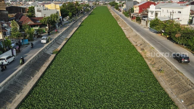 Foto udara kondisi kanal yang dipenuhi tanaman eceng gondok (Eichhornia Crassipes) di Makassar, Sulawesi Selatan, Rabu (1/11/2023). [ANTARA FOTO/Arnas Padda/rwa]