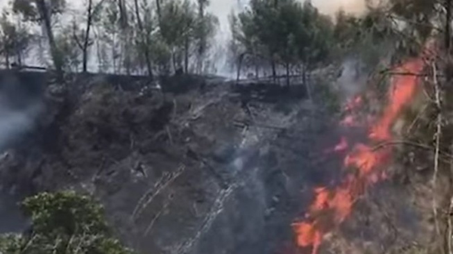 55 Hektare Kawasan Gunung Rinjani Terbakar Sejak 31 Oktober