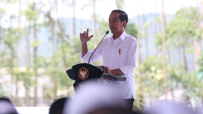 Jokowi Ungkap Realisasi Investasi yang Masuk di IKN Capai Rp 45 Triliun