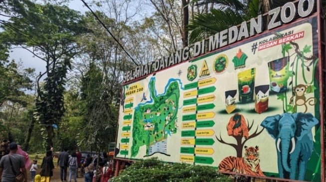 Erha, Harimau Sumatera Usia 11 Tahun Mati di Medan Zoo Simalingkar