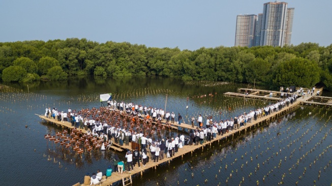 150 Pohon Ditanam pada Program Penanaman Mangrove untuk Net Zero Carbon