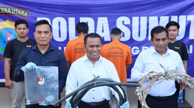 2 Pria di Sergai Ditangkap Gegara Curi Kabel Lampu Penerangan Tol Rp 84 Juta