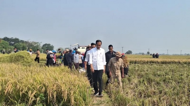 Tantangan dan Peluang dalam Menangani Ketergantungan pada Impor Pangan dan Meningkatkan Produksi Pangan Lokal