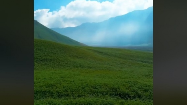 Berubah! Bukan Lagi Bukit Teletubies Bromo Namanya Sekarang, Awas Jangan Salah Sebut