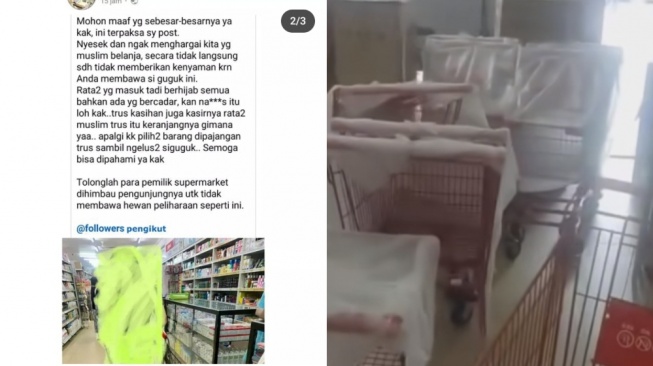 Viral Ibu-ibu Protes ke Pembeli Supermarket Gegara Bawa Anjing, Troli Langsung Diganti Baru