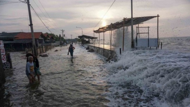 Peringatan BMKG, 7 Kabupaten Pesisir di Kaltim Waspada Terhadap Pasang Air Laut