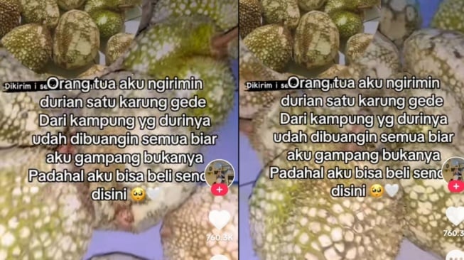 Orang Tua Kirim Durian untuk Anaknya, Netizen Malah Menyebutnya Buah Sukun