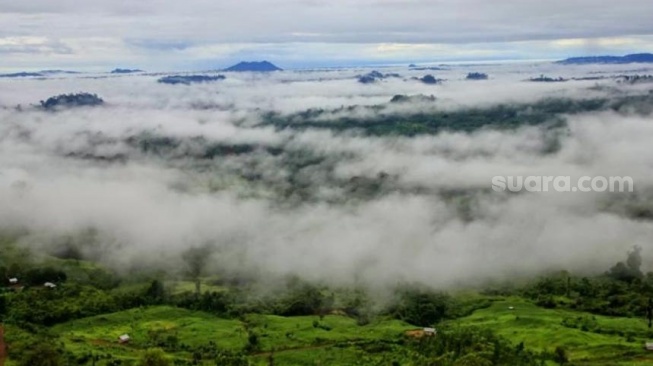 Wisata Gunung Es di Kutai Barat yang Dijuluki 'Negeri di Atas Awan'