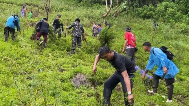 1 Hektare Ladang Ganja Siap Panen Ditemukan di Madina, Dimusnahkan dengan Cara Dibakar