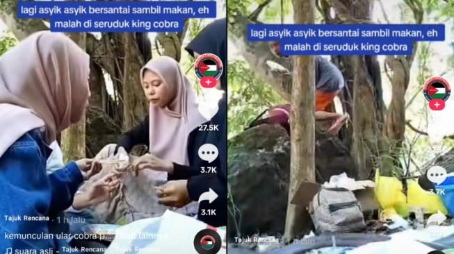 Pengen Piknik di Hutan? Tetap Hati-Hati, Jangan Sampai Terjadi Seperti Ini