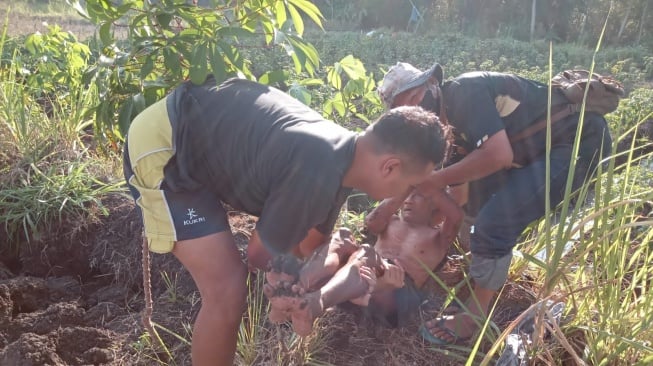 Lagi, Dua Warga Pajangan Bantul Diserang Lebah Tanah Saat Garap Lahan di Ladang