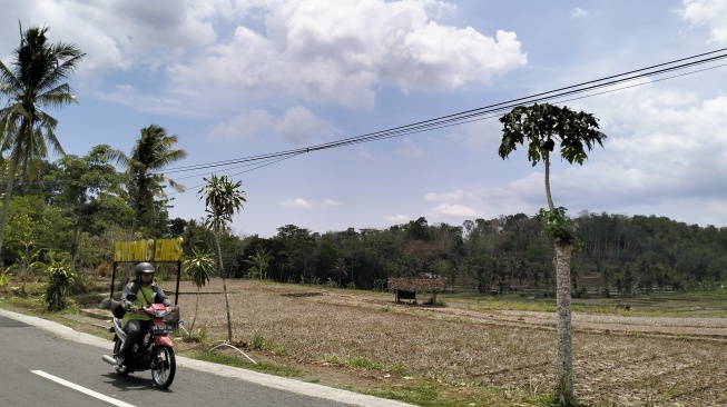 Alih Fungsi Mencapai 10.000 Hektare, Lahan Pertanian di Gunungkidul Menyusut dari 35.000 Tinggal 22.000 Hektare