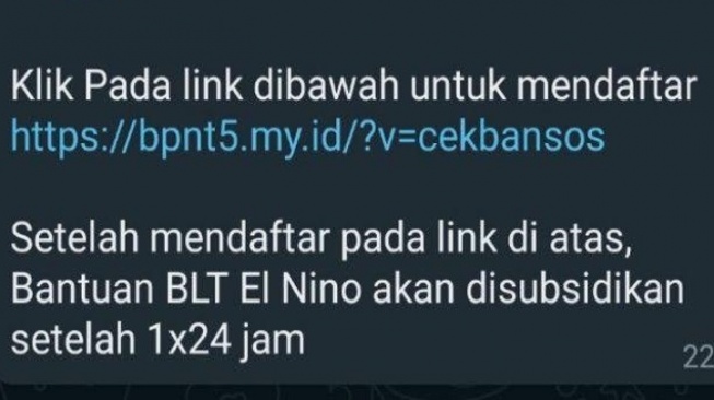 CEK FAKTA: Hoaks Link Pendaftaran BLT El Nino Rp400.000 Lewat Whatsapp