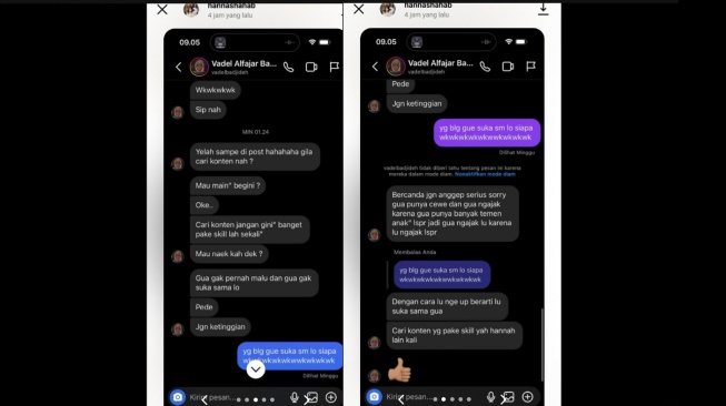 Chat Vadel dengan sosok bernama Hanna (tiktok)