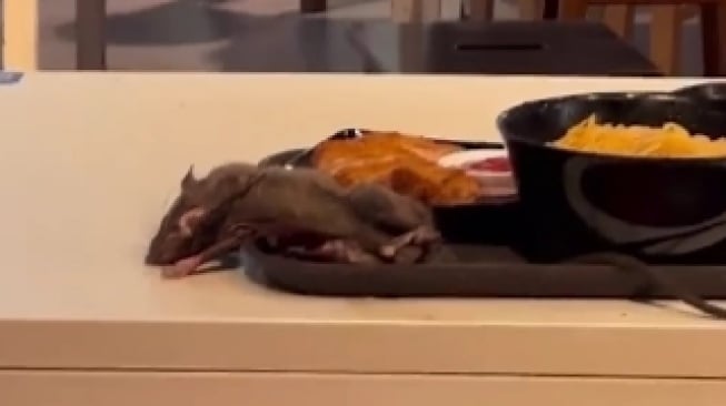 Beredar video di media sosial seekor tikus tergeletak dan bergerak di atas nampan di meja pujasera Singapura. [suara.com/net]