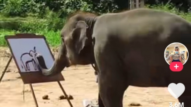 Keren Banget! Viral Seekor Gajah Bisa Gambar dan Tulis Namanya Sendiri