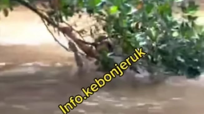 Maling motor nekat melompat ke kali beraliran deras di Kawasan Kebon Jeruk, Jakbar pada Jumat (1/12/2023). [Tangkapan layar akun IG info.kebonjeruk]