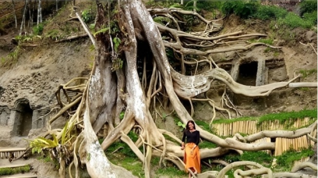 Destinasi Wisata Bali Terbaru, Munduk Asri Ubud yang Jarang Orang Ketahui