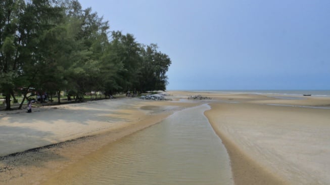 Selamat! Desa Tanjung Punak Bengkalis Juara Pertama Desa Wisata Riau 2023