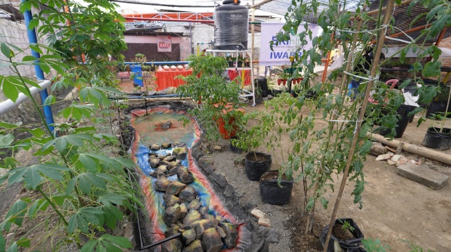 Dorong Perbaikan Lingkungan, BRI Sukses Manfaatkan Timbunan Sampah Jadi Lahan Urban Farming 'BRInita'