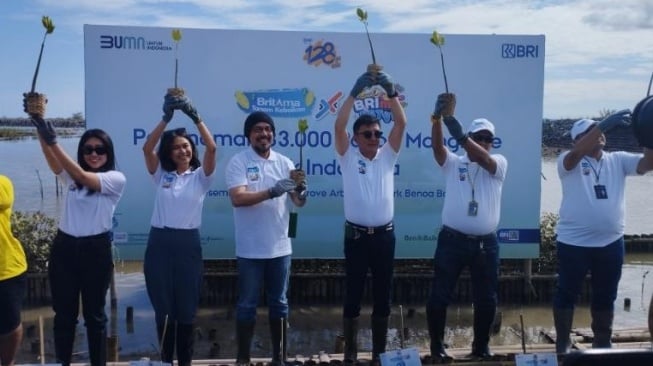 Bank BRI Tanam Ribuan Mangrove di Benoa Bali