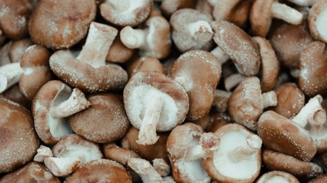Mampu Mencegah Kanker, Berikut 3 Manfaat Mengonsumsi Jamur Shiitake
