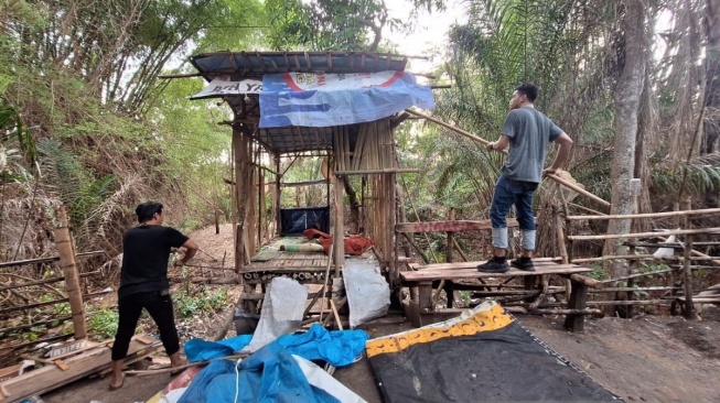 Gubuk Lansia di Polewali Mendadak Dibongkar, Diduga Buntut Kekalahan Politik Caleg Cucu Pemilik Lahan