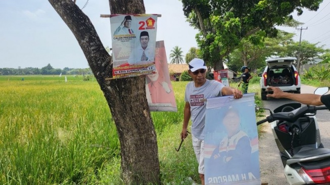 Sejumlah orang yang tergabung dalam Lembaga Swadaya Masyarakat Sniper Indonesia mencabut alat peraga kampanye (APK) yang terpaku pada pohon di sepanjang ruas jalan wilayah Kabupaten Bekasi, Jawa Barat. (Antara)