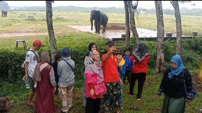 Biaya Mahal, Wisatawan Asal Jambi Kecewa Datangi TNWK