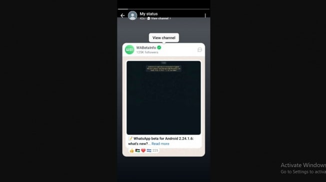 Fitur baru WhatsApp, Saluran Anda. [WABetaInfo] 