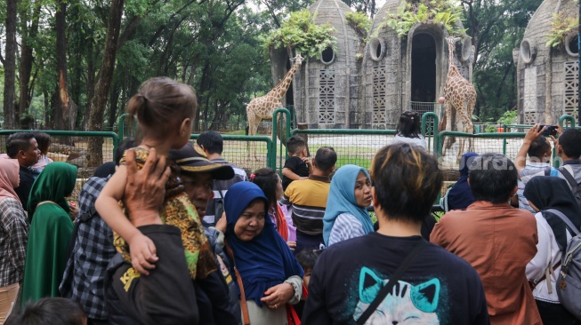 Pengunjung melihat jerapah saat berwisata di Taman Margasatwa Ragunan, Jakarta, Selasa (26/12/2023). [Suara.com/Alfian Winanto]