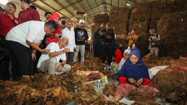 Peduli Petani Tembakau, Ganjar Bakal Jadikan Jawa Tengah Pusat Tembakau di Indonesia