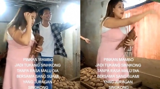 Potret Pinkan Mambo Jualan Singkong (tiktok/@aryyankhanone)