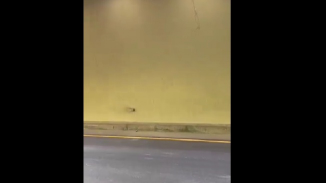 Penampakan retakan di dinding Twin Tunnel Tol Cisumdawu Sumedang akibat gempa M 4,8 pada Minggu (31/12/2023) malam. [Tangkap Layar X]