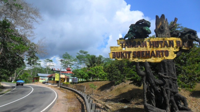 Mengenal Bukit Soeharto Kaltim, Kini Jadi Lokasi Konservasi Flora dan Fauna Langka