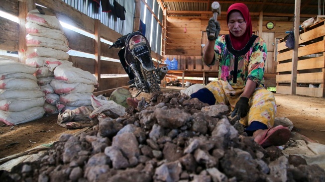 Seorang buruh tambang menghancurkan material (batu rep) yang mengandung emas untuk dimasukkan ke dalam tromol di Pertambangan Rakyat Desa Anggai, Kecamatan Obi, Kabupaten Halmahera Selatan, Maluku Utara, Minggu (7/1/2024). [ANTARA FOTO/Andri Saputra/aww]