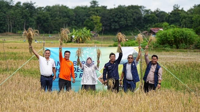 Berkat PLTS Irigasi Bukit Asam (PTBA), Produktivitas Pertanian Makin Meningkat