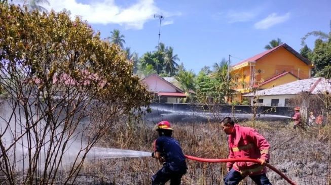 46 Kasus Kebakaran Terjadi di Pariaman Selama 2023, Mayoritas Gara-gara Ini