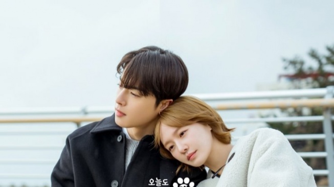 Spoiler! 6 Poin Penting yang Menjelaskan Akhir Drama A Good Day to Be a Dog