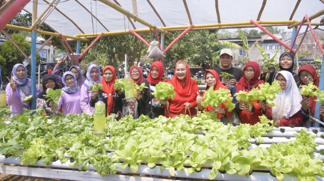 Inovasi Pertanian Perkotaan, Meretas Tantangan Lahan Di Kota Semarang