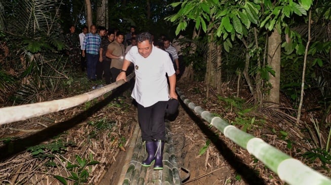 Bahtiar Baharuddin Bertekad Jadikan Sulsel Penghasil Pisang Terbesar di Dunia