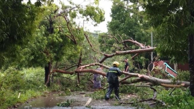 Hujan Deras Disertai Angin Kencang Melanda Kabupaten Kudus, 30 Unit Rumah Rusak